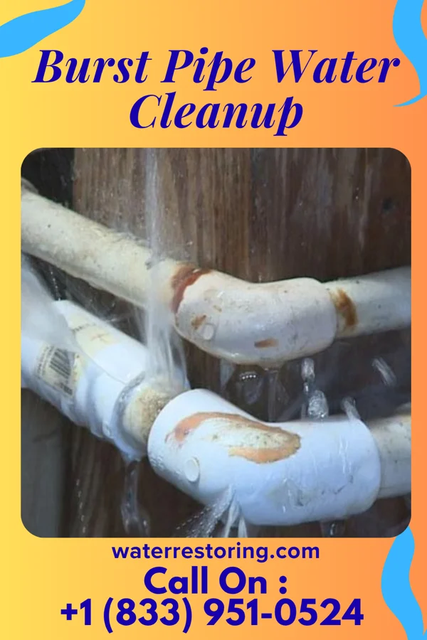 Burst Pipe Water Cleanup in Van Wert, OH